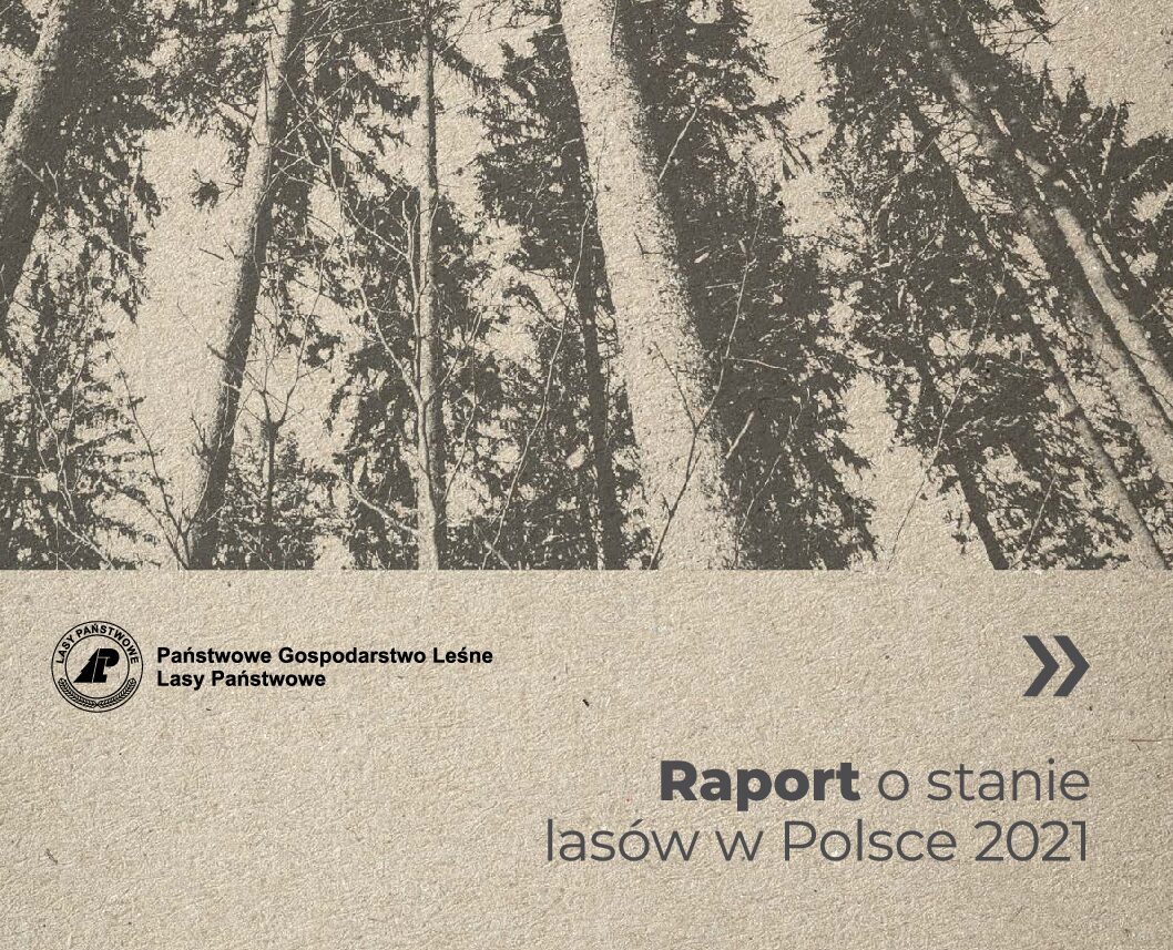 raport