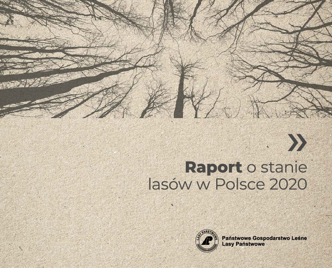 raport